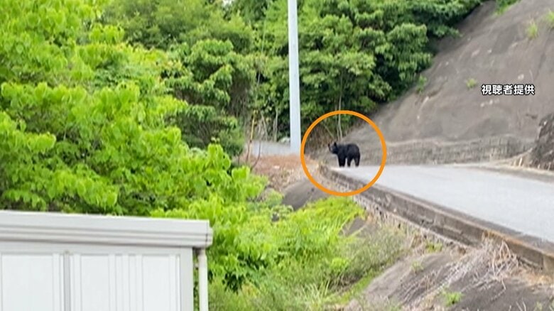 【速報】宇都宮市のクマは小学校に侵入か　宇都宮大学キャンパスから移動の可能性　警察や猟友会が捜索中｜FNNプライムオンライン