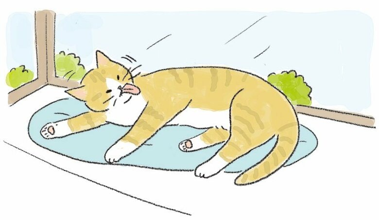 【漫画】なんでそんなに猫しぐさ　第2回「変貌自在、毛づくろい」｜FNNプライムオンライン