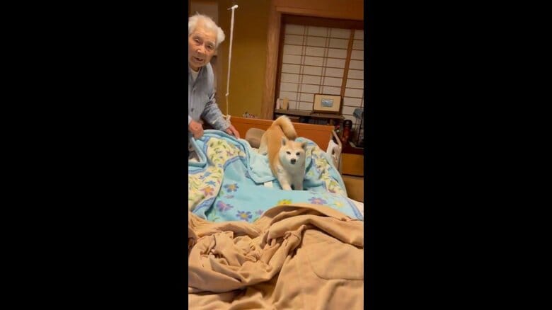 「一緒に寝たい！」おじいちゃんのベッドから離れない柴犬が微笑ましい…“ふたり”の関係を聞いた｜FNNプライムオンライン