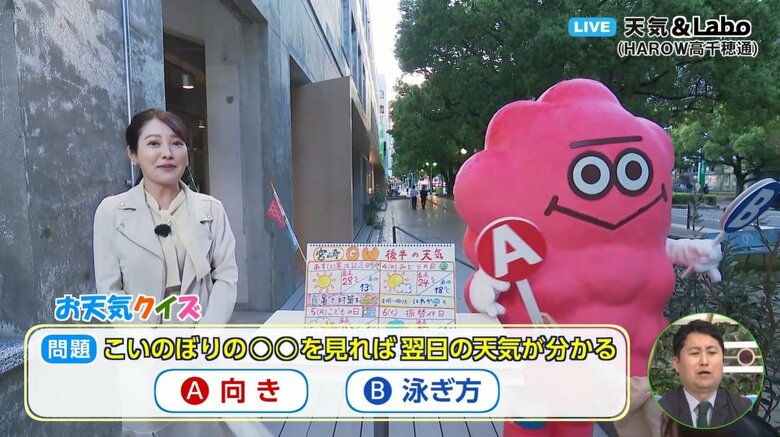 こいのぼりの〇〇を見れば翌日の天気がわかる！？カギは高気圧と低気圧　こいのぼりが北を向くと翌日は晴れる？気象予報士が解説｜FNNプライムオンライン