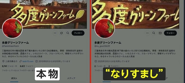 【独自】本物そっくり…Xで悪質「なりすまし」スクロールすると“闇バイト”募集が…専門家「巧妙になって注意が必要」｜FNNプライムオンライン
