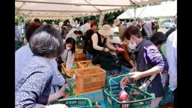 さぬき市の石田高校の生徒が育てた野菜や花の苗など販売…６日と１３日にスーパーでイベント【香川】｜FNNプライムオンライン