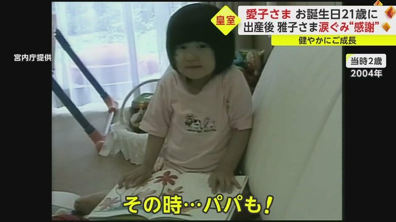 陛下が撮影されたホームビデオ