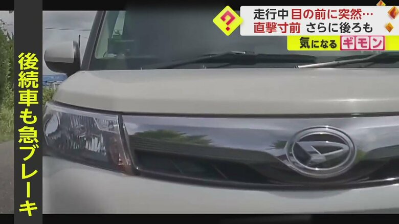 急ブレーキをかけ、スレスレのところで止まった!