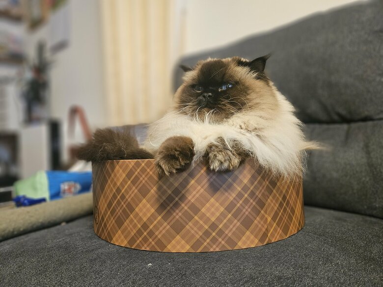 提供：ねぎまるさん