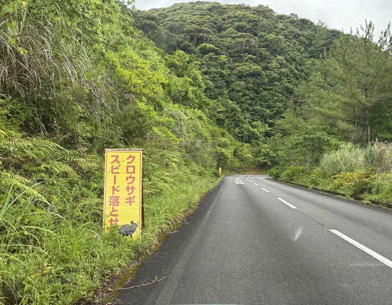 ロードキル注意を呼びかける看板があちこちに