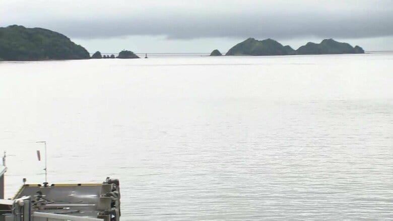 愛媛・八幡浜港（30日午前11時半ごろ）