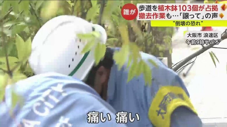 葉が刺さるのか、思わず「痛い」の声も