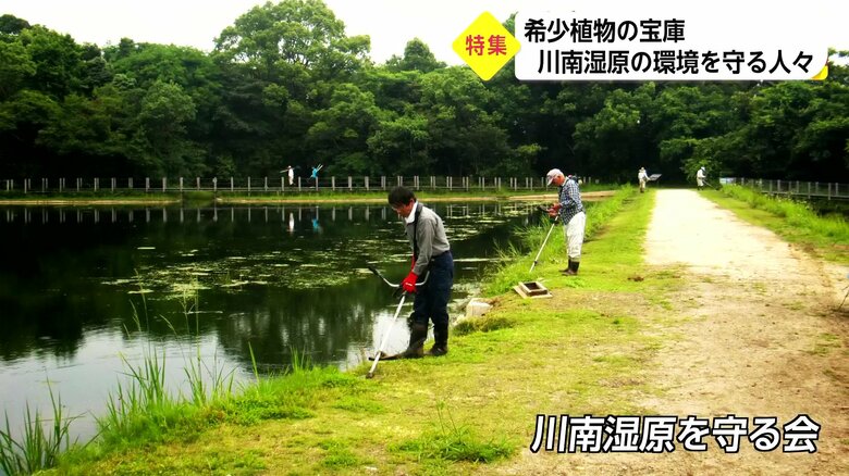 ボランティアが湿原整備や園内案内を行う