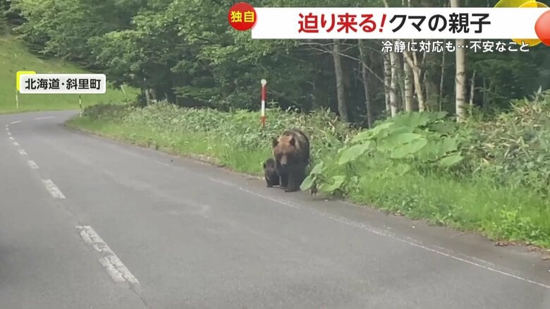 そのまま、ゆっくりとこちらへ近づいてきていた親グマ
