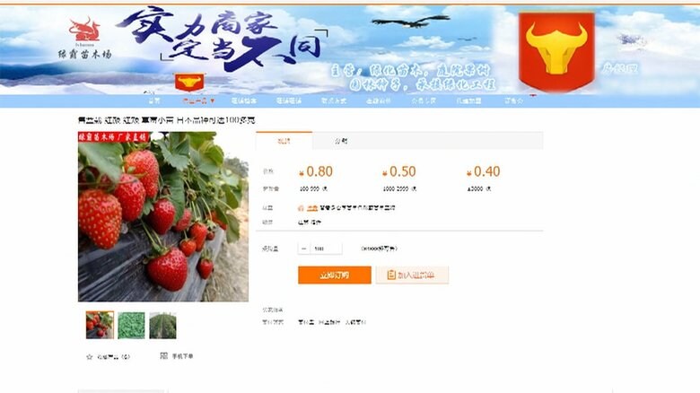 「紅ほっぺ」など中韓で無断販売か 日本で開発の種や苗