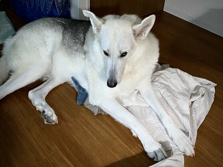 昼寝からの寝起き