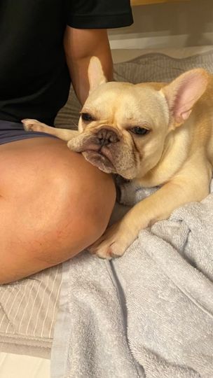 提供：むぎさん