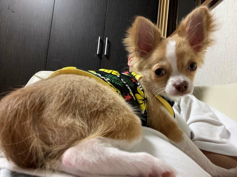 提供：ふくのすけさん