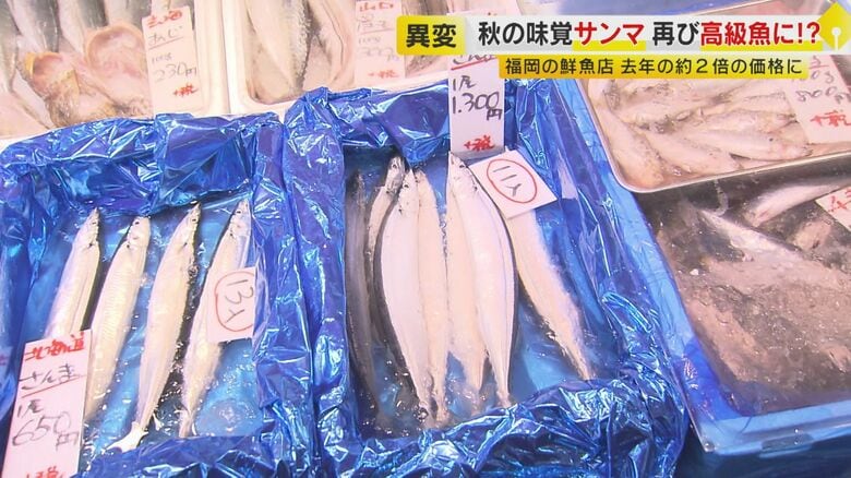 1尾1300円のサンマも…