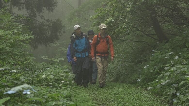 ドンデン山のトレッキングコース