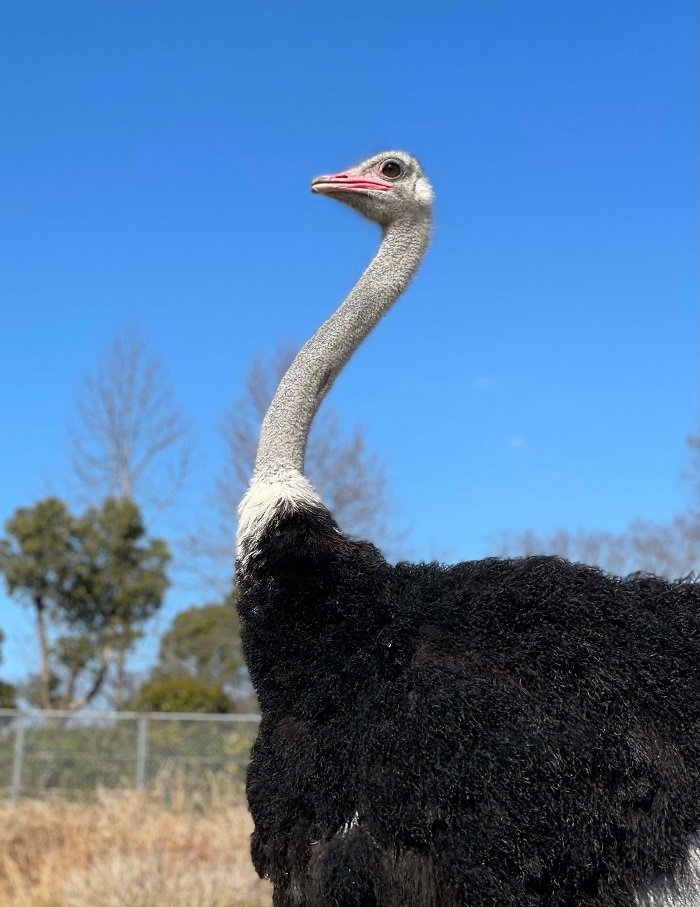 提供：塚本康浩