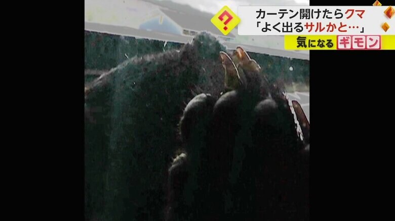 爪を窓に押し当てるクマ（FNN投稿サイト「ビデオPost」）
