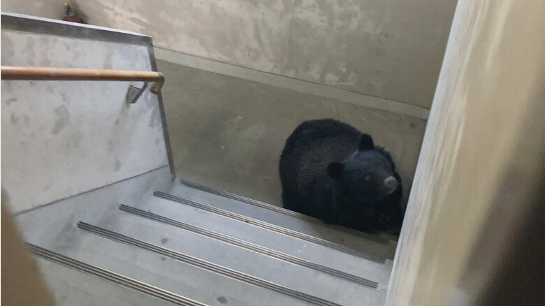 住民提供