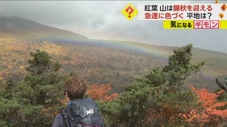 紅葉した木々の上に虹がかかる福島県・安達太良山