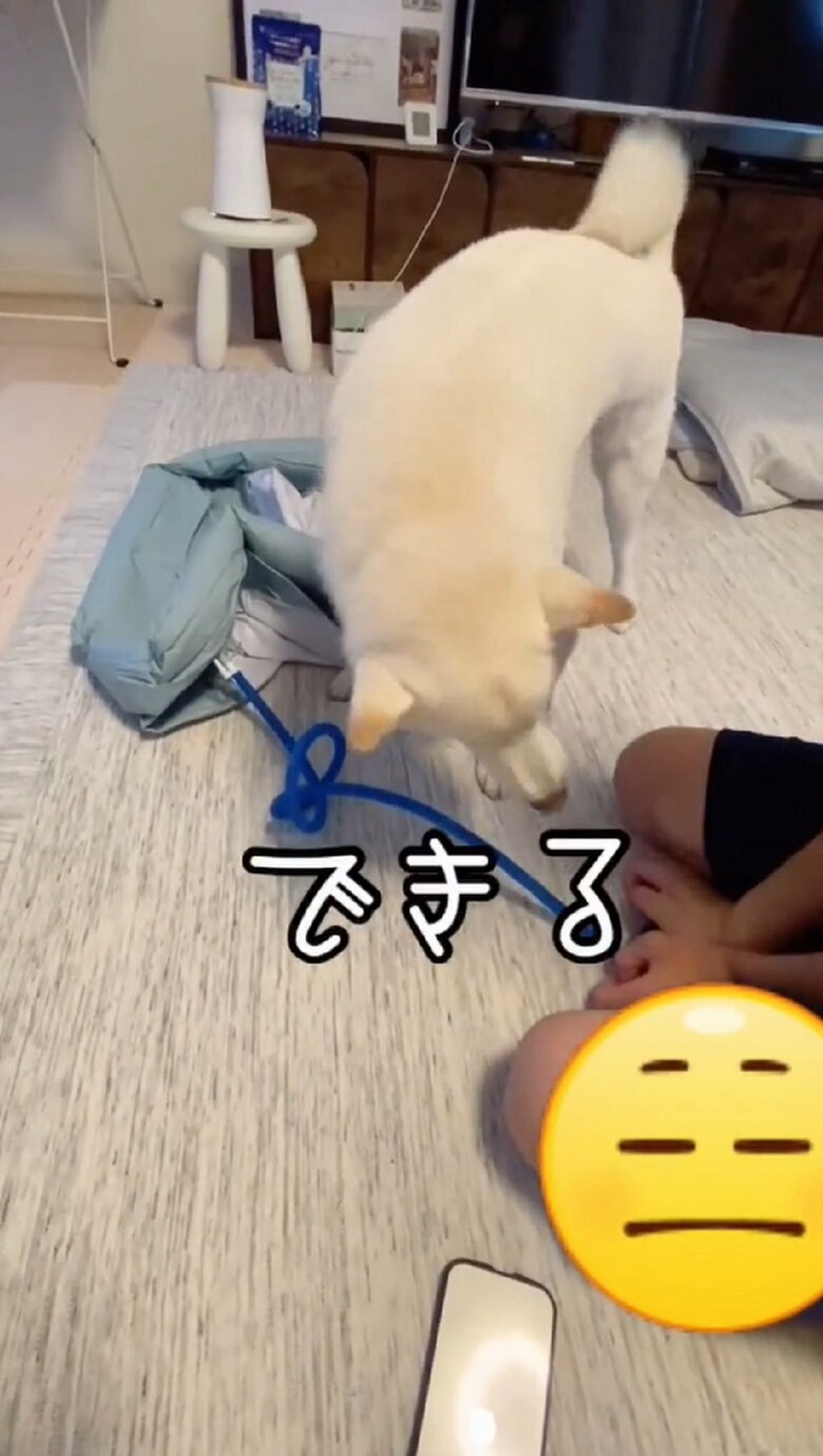 「できる」