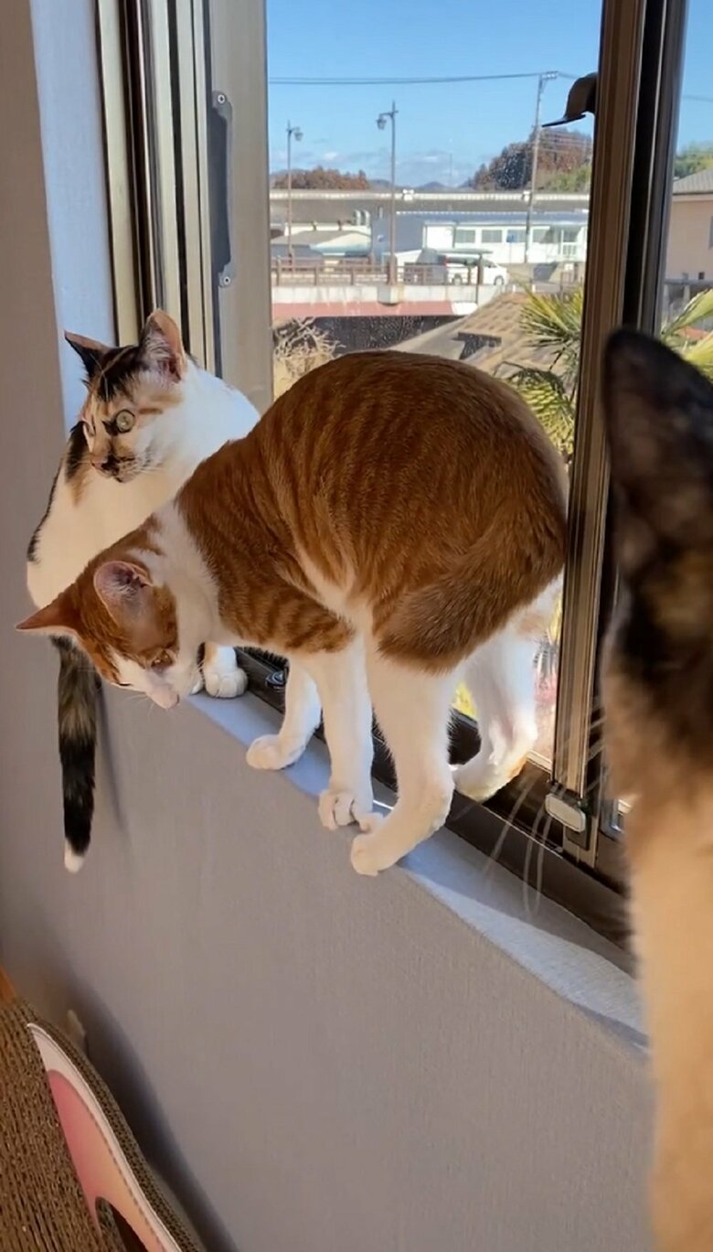 窓際が混雑していても…