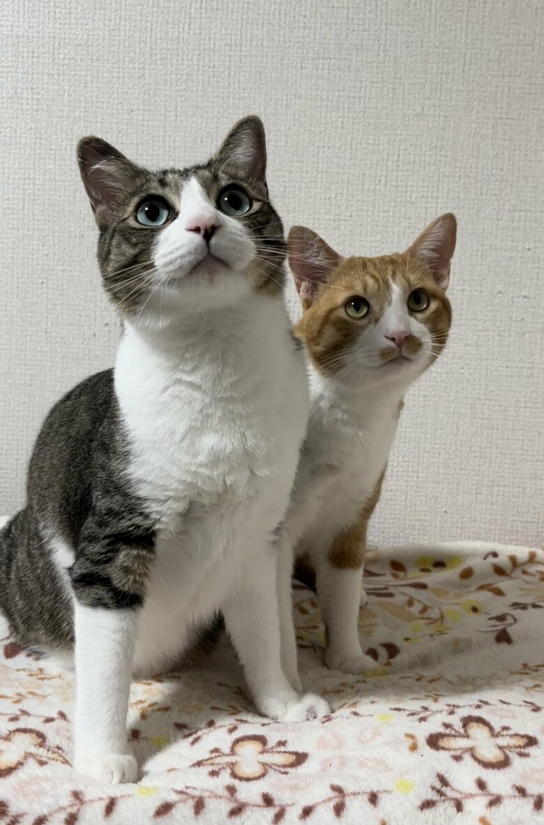 表情も似てきたかもしれない