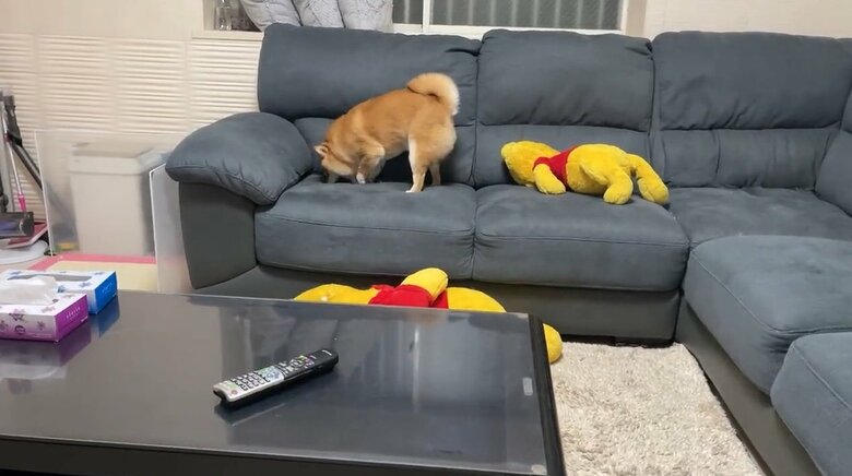 提供：うにandおからさん