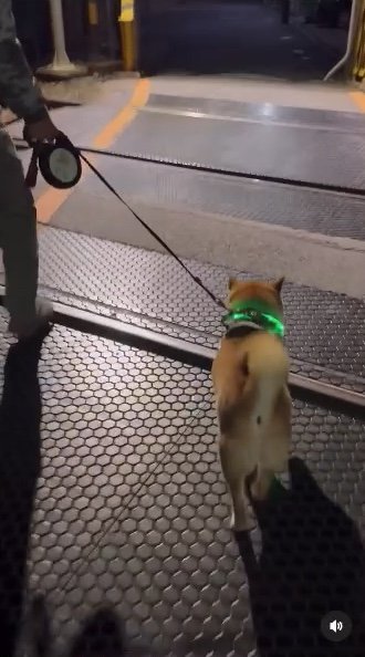 提供：カンさん