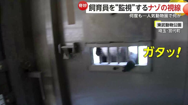 窓越しに動く姿と伸びる手（東武動物公園）