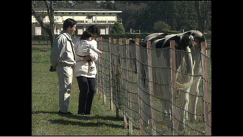 2002年撮影