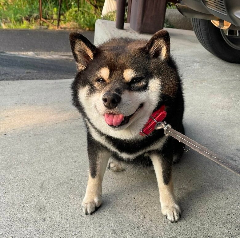 動きたくないです