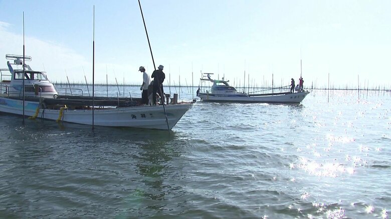 佐賀県沖の有明海でノリの養殖シーズンを前に行われるノリ網の支柱立て
