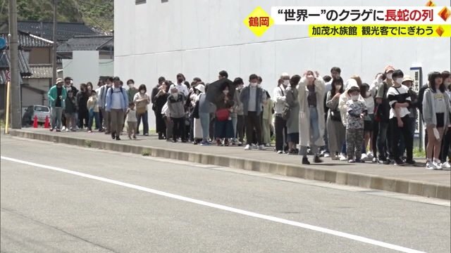 水族館の壁に沿って長蛇の列が…