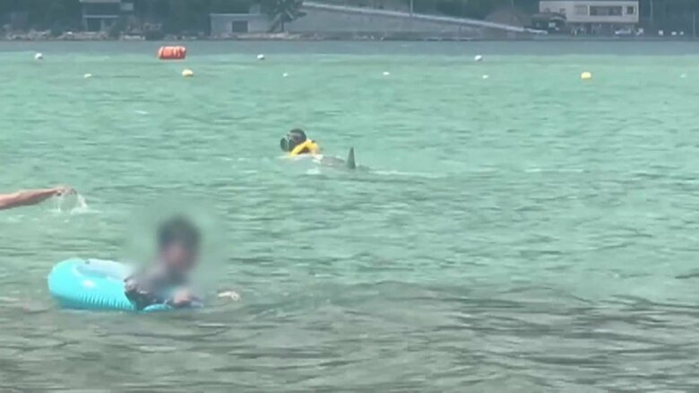 イルカが子どもを襲う一部始終⑬（全18枚）