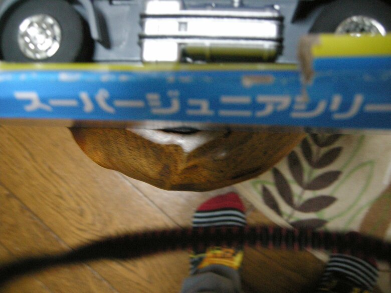 3歳児が撮影した写真