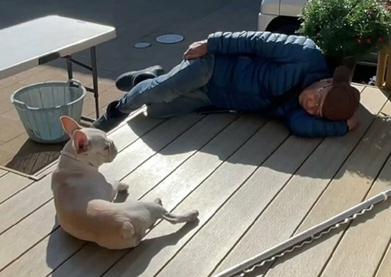 おじいちゃんとひなたぼっこ