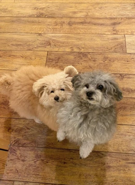 提供：＠tsuru_323さん