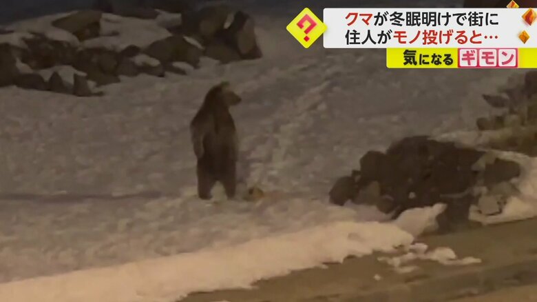 立ち上がるクマ（IHA）