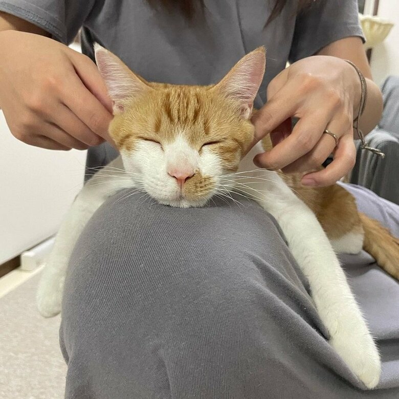 マッサージでぐでんぐでん