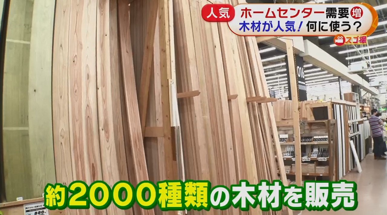 巨大鉄板バカ売れ 角材も大人気 日本最大級のホームセンター売れ筋チェック 何を買って 何に使う