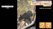 クマが住民襲う被害続発　「武器がない」人を恐れず戻ってくるクマと対峙　死者10人との報道も　ロシア