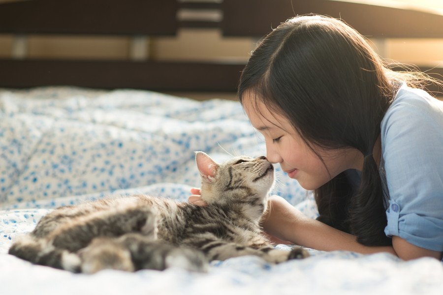 猫は家につく 人になつきにくい は本当か なつきやすかった が70 以上 猫は思ってる以上に飼い主が好き