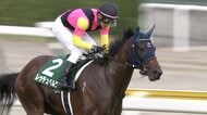 【新潟2歳S・G3】世代最初のマイル重賞はレッチュベルクが制覇！　田辺裕信騎手 この夏重賞4勝を飾る