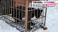物置小屋で眠る熊も…冬眠しない“穴持たず”に注意！　福島県では4月までクマ出没注意報を発令　雪の会津地方で目撃相次ぐ