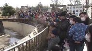 大森山動物園、入園料値上げへ　高校生以下は無料を維持　年間パスポートは2倍近くの金額に　秋田市