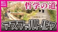 『哲学の道』砂利道のアスファルト舗装に賛否　「景観に調和した安全な道」に悩む地元　「車いすやベビーカー通行できない」「環境破壊される」
