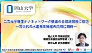 【岡山大学】二次元半導体ナノネットワーク構造の合成法開発に成功～次世代の水素発生触媒の応用に期待～