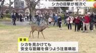 朝の大阪でシカ相次ぎ目撃　毛馬桜之宮公園に1頭、駅周辺にも出没　住宅街に現れ住民「しかと見た」　