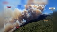ヨーロッパ各地で山火事拡大　熱波で土地が乾燥　スペインで東京ドーム1100個分焼失　フランスでは1万人避難